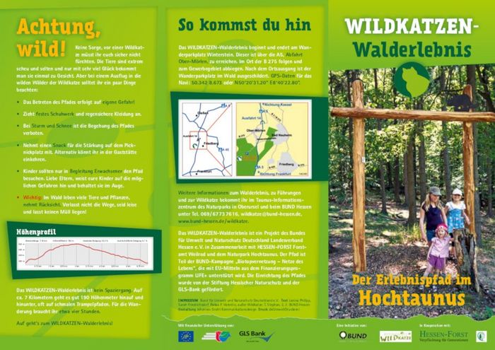 WILDKATZEN-Walderlebnis (Flyer)