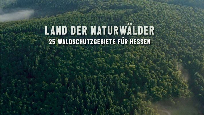 Ausschnitt aus dem Titelblatt der Broschüre „Land der Naturwäler – 25 Waldschutzgebiete für Hessen“