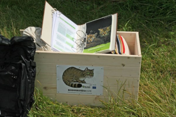 BUND Biodiversitätskiste für Wildkatzenexkursionen