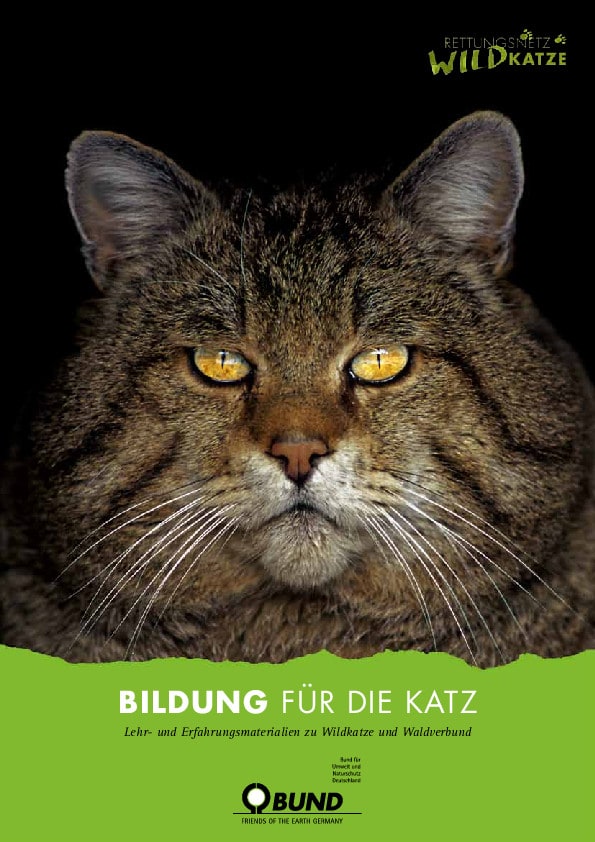 Wildkatze Umweltbildungspaket (Coverbild)