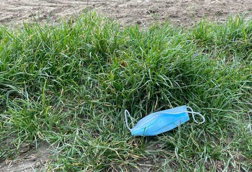 Mund-Nasen-Bedeckung am Feldrand.