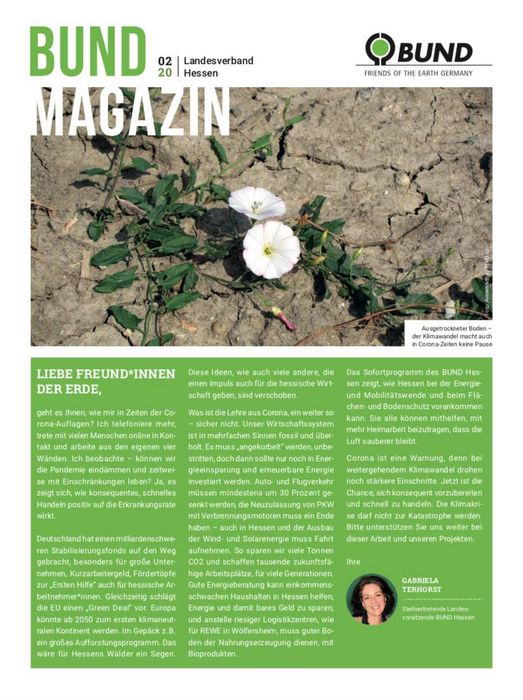 BUNDmagazin Hessenseiten