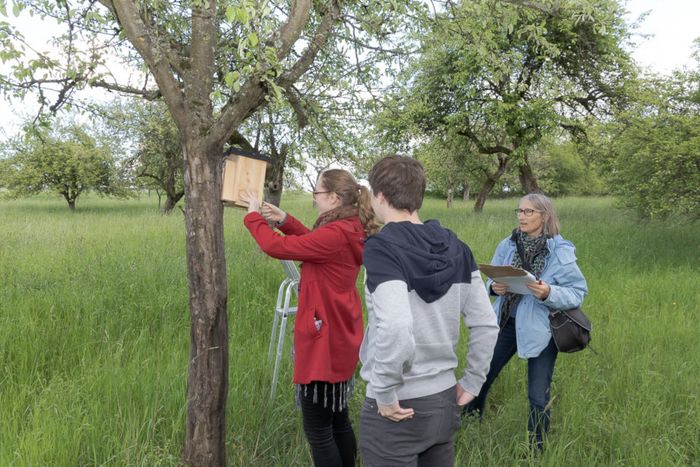Teamwork Nistkastenkontrolle (Foto: Andreas Lange)