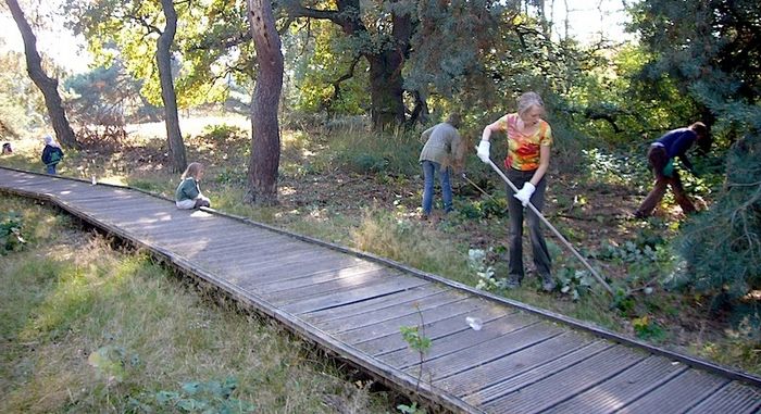 Pflegeaktion in der Schwanheimer Düne durch den BUND