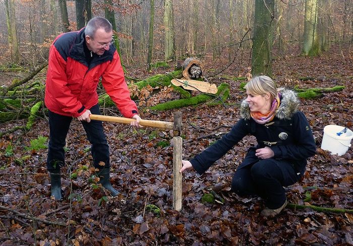Joachim Arnold (Landrat des Wetteraukreises) und Susanne Schneider (BUND Hessen) setzen einen Lockstock für die Wildkatze.