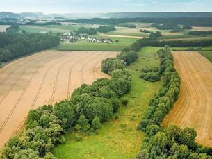 Luftbild des Grünen Bands bei Mitwitz