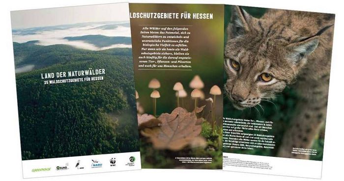 Konzept „Hessen – Land der Naturwälder” (Ausschnitte)