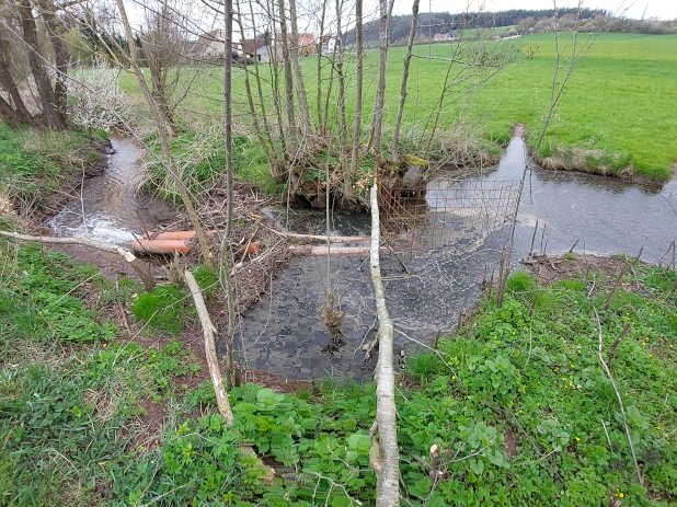 Dammdrainage zur Regulierung des Wasserstandes
