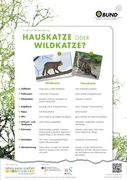 Hauskatze oder Wildkatze? (Projekt Wildkatzensprung, BUND)