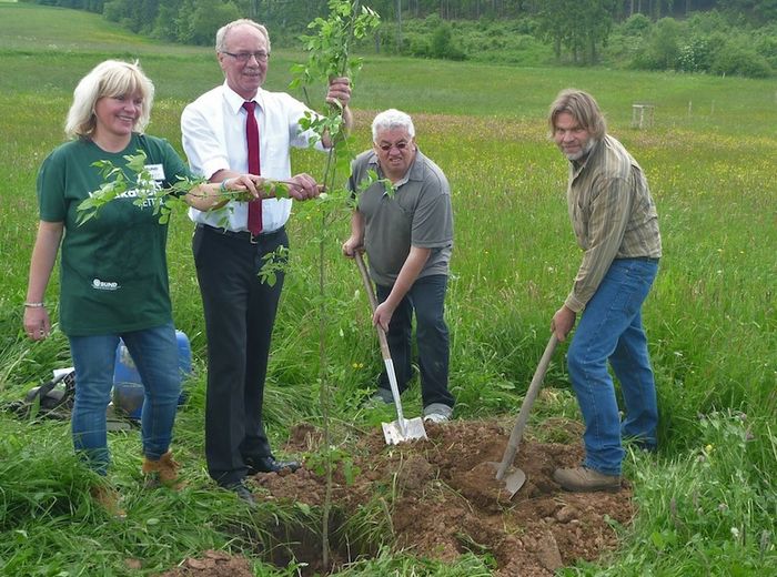 Einweihung Wildkatzenkorridor (Foto: BUND Hessen): Gemeinsame Pflanzung einer Esche. Von links nach rechts: Anke Schütz (BUND Waldeck-Frankenberg), Landrat Dr. Reinhard Kubat, Rudolf Schäfer (BUND Hessen Vorstand), Frank Schütz (BUND Projektleiter vor Ort)
