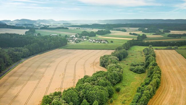 Luftbild des Grünen Bands bei Mitwitz