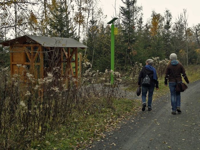 Wanderung über den Wildkatzen-Erlebnispfad (Foto: BUND Hessen)