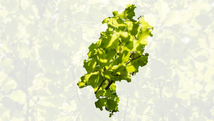 Hessen nachhaltig (Grafik: Niko Martin)