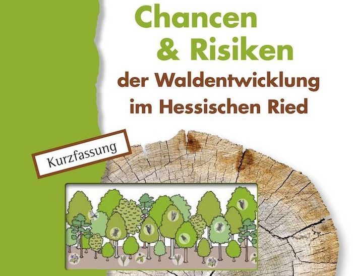 Ausschnitt aus dem Titelblatt der Kurzfassung der BUND Hessen-Broschüre „Chancen und Risiken für die Waldentwicklung im Hessischen Ried”