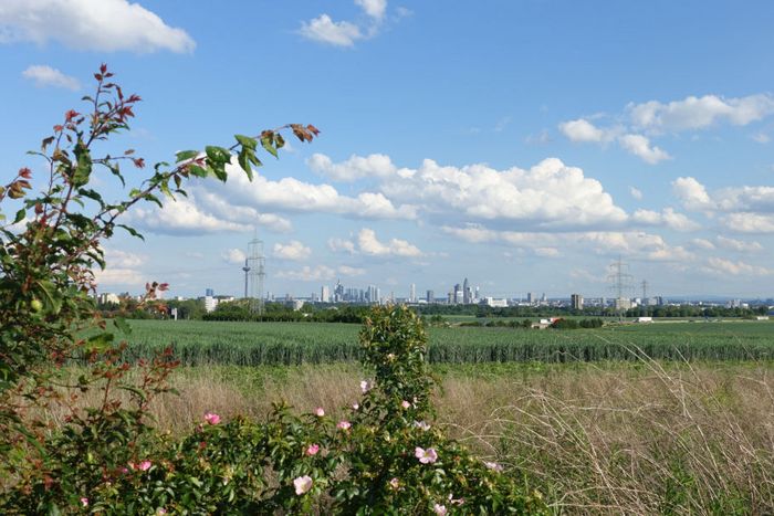 Wertvolle Böden im Nordwesten Frankfurts, die bebaut werden sollen.