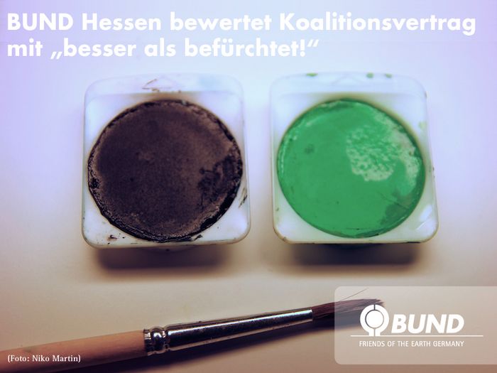 BUND Hessen bewertet Koaltionsvertrag (Foto: Niko Martin)