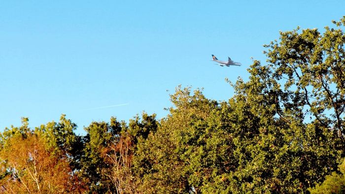 Flugverkehr schadet dem Klima und damit den Bäumen (Foto: Lynn Anders / BUND Hessen)