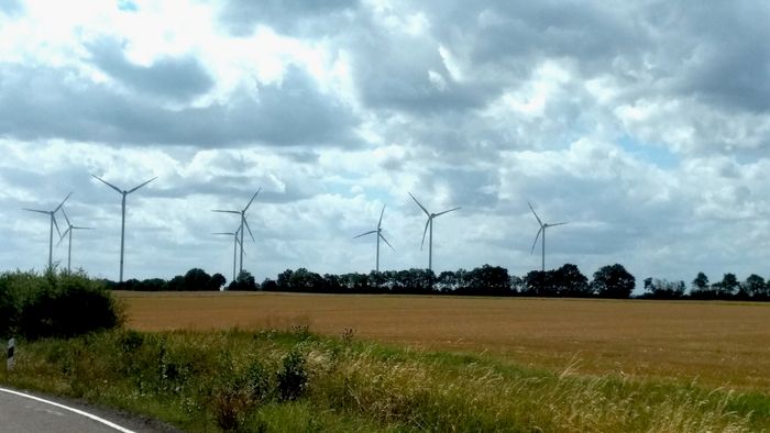 Windpark auf einem Feld.