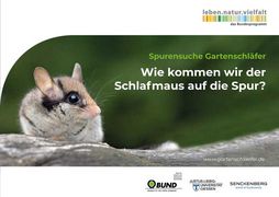 Wie kommen wir der Schlafmaus auf die Spur? (Coverbild)