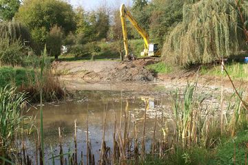 Auweiher in ausgebaggertem Zustand.
