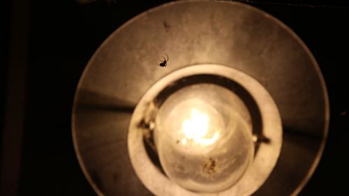Lichtverschmutzung durch warme Lichtfarben reduzieren.