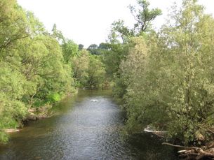 Die Lahn bei Marburg