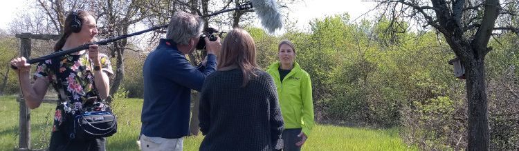 Susanne Schneider bei einem TV-Interview zum Gartenschläfer.