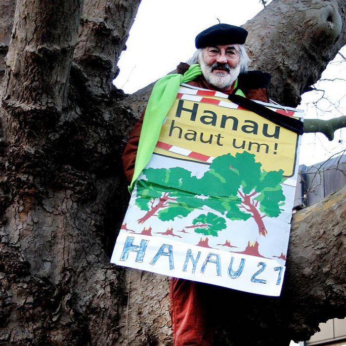 Elmar Diez besetzt Platane in Hanau
