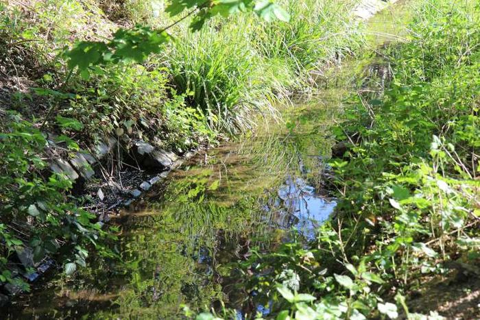 Bachlauefe in Hessen