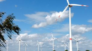 Windpark vor blauem Himmel