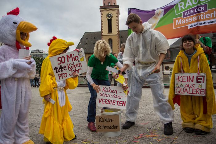 Raus aus der Massentierhaltung – Kükenschreddern verbieten (Foto: Niko Martin)