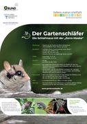 Steckbrief Gartenschläfer