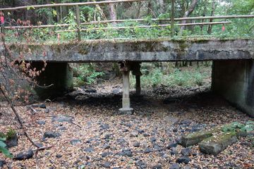 Zu sehen ist eine Bachführung ohne Wasser mit viel vertrocknetem Laub und darüber führt eine Brücke