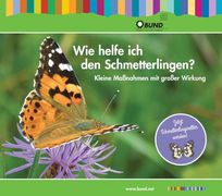 Wie helfe ich den Schmetterlingen?