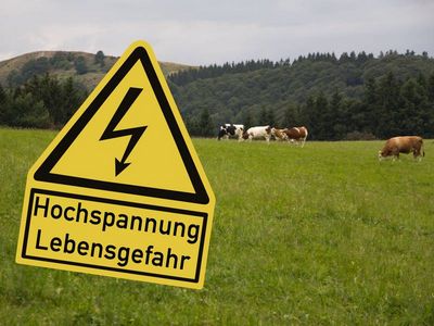 Dezentral läuft's besser – für die Bürger*innen, die Energiewende und den Naturschutz!