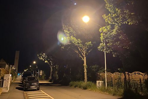 Lichtverschmutzung: Weniger Licht wäre mehr Insekten- und Naturschutz.