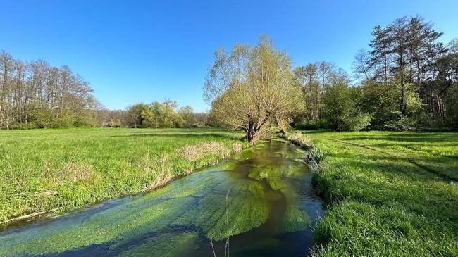 Bachlauf in Hessen