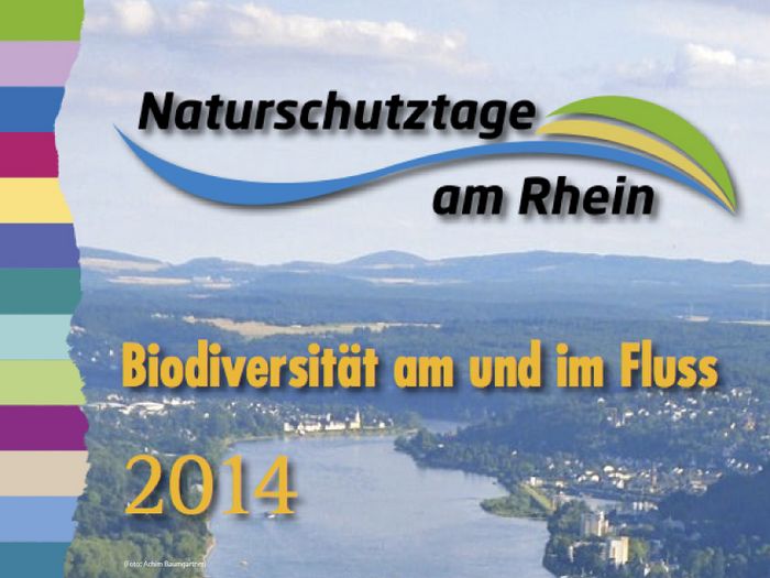 Naturschutztage am Rhein 2014 (Foto: Achim Baumgartner)
