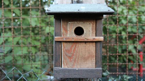 Vogelnistkasten am Zaun