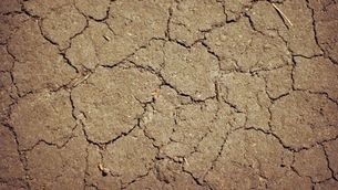 Klimawandel und häufiger trockene Böden.