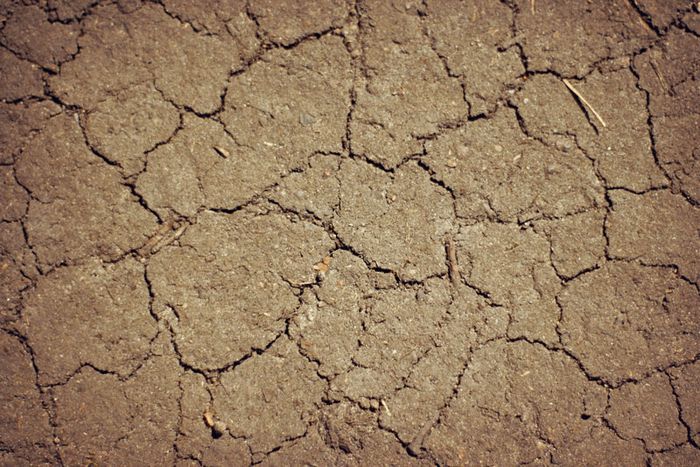 Der Klimawandel ist spürbar. – Trockener Erdboden (Foto: Niko Martin)