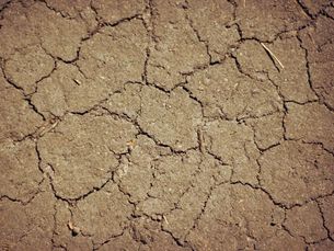 Klimawandel und häufiger trockene Böden.