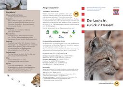 Der Luchs ist zurück in Hessen!