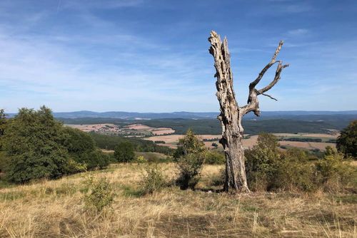 Die Rhön ist bekannt für ihren Blick in die Ferne.