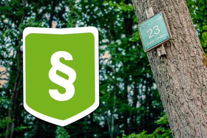 BUND klagt für den Erhalt des Bannwaldes am Langener Waldsee (Foto und Grafik: Niko Martin)