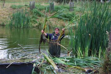 Vor der Setz- & Brutzeit sowie dem Einzug der Amphibien zur Überwinterung in das Laichwasser des Auweihers, renaturiert der BUND Orstverband Seeheim-Jugenheim den Teich. 