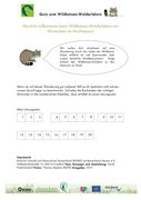 Quiz zum WILDKATZEN-Walderlebnis
