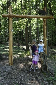 Station 1 auf dem Wildkatzen-Walderlebnis