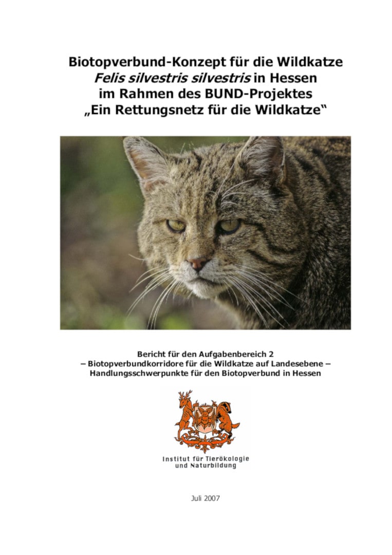 Biotopverbund-Konzept für die Wildkatze in Hessen
