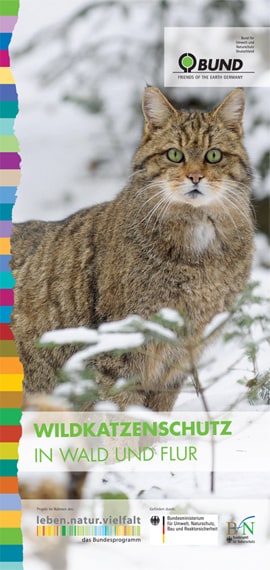 Wildkatzenschutz in Wald und Flur (Coverbild)
